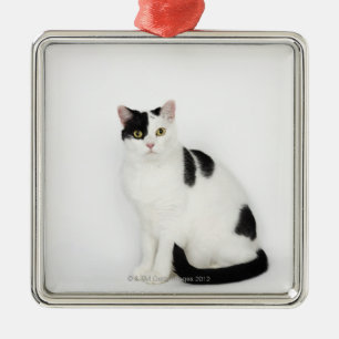 Weiße Katze mit schwarzen Flecken Silbernes Ornament