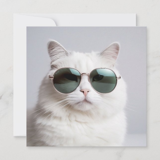 Weiße Katze mit Sonnenbrille, coole Katze, hübsche Einladung (Vorderseite)