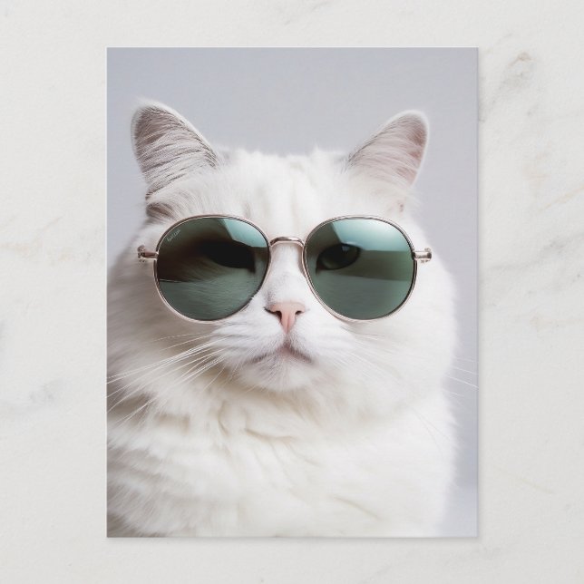 Weiße Katze mit Sonnenbrille, coole Katze, hübsche Postkarte (Vorderseite)