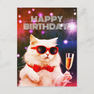 Weiße Katze mit Sonnenbrille zum Geburtstag tostie Postkarte