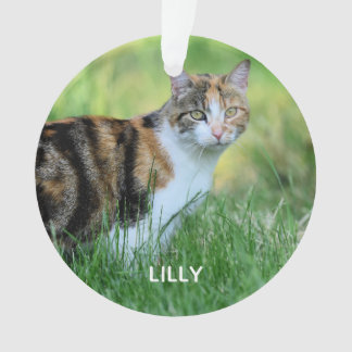 Weiße Katze Ornament