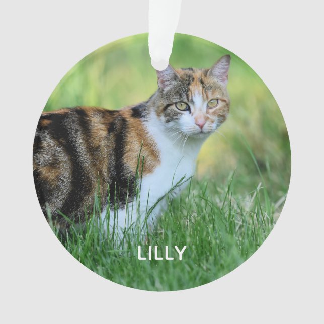 Weiße Katze Ornament (Vorderseite)