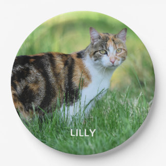 Weiße Katze Pappteller