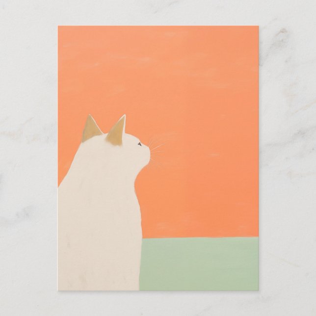 Weiße Katze Postkarte (Vorderseite)