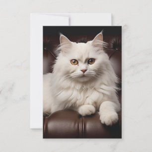 Weiße Katze Save The Date