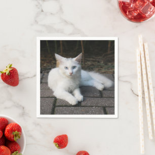 Weiße Katze Serviette