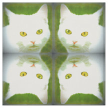 Weiße Katze