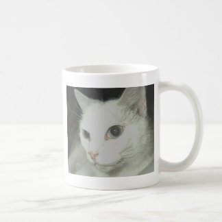 Weiße Katze Tasse