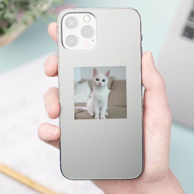 Weiße Katze | Zazzle_Growshop. Aufkleber (Telefon)