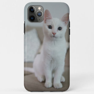Weiße Katze   Zazzle_Growshop. Case-Mate iPhone Hülle
