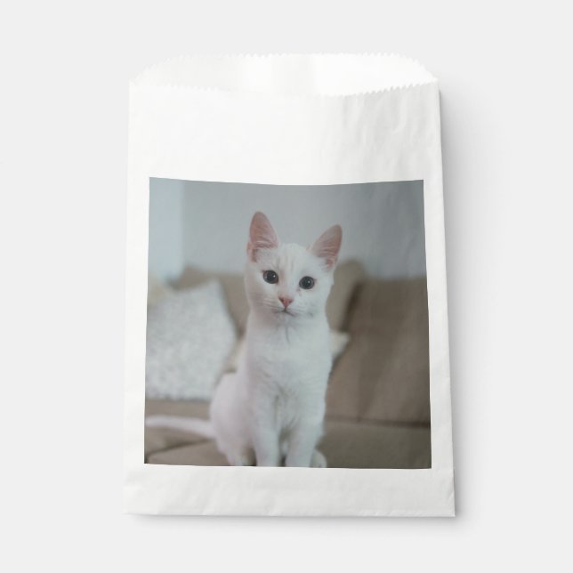 Weiße Katze | Zazzle_Growshop. Geschenktütchen (Vorderseite)