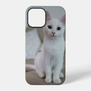 weiße Katze Zazzle_Growshop. iPhone 12 Pro Hülle