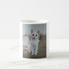 Weiße Katze | Zazzle_Growshop. Kaffeetasse