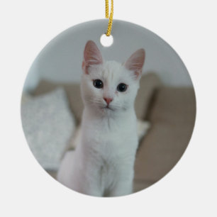 Weiße Katze Zazzle_Growshop. Keramik Ornament
