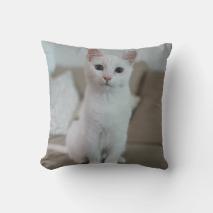 Weiße Katze   Zazzle_Growshop. Kissen