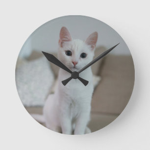 Weiße Katze Zazzle_Growshop. Runde Wanduhr