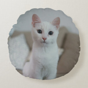 Weiße Katze   Zazzle_Growshop. Rundes Kissen