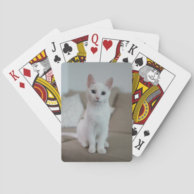 Weiße Katze | Zazzle_Growshop. Spielkarten (Rückseite)