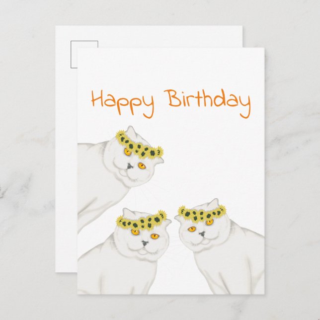 Weiße Katzen Happy Birthday Postkarte (Vorne/Hinten)
