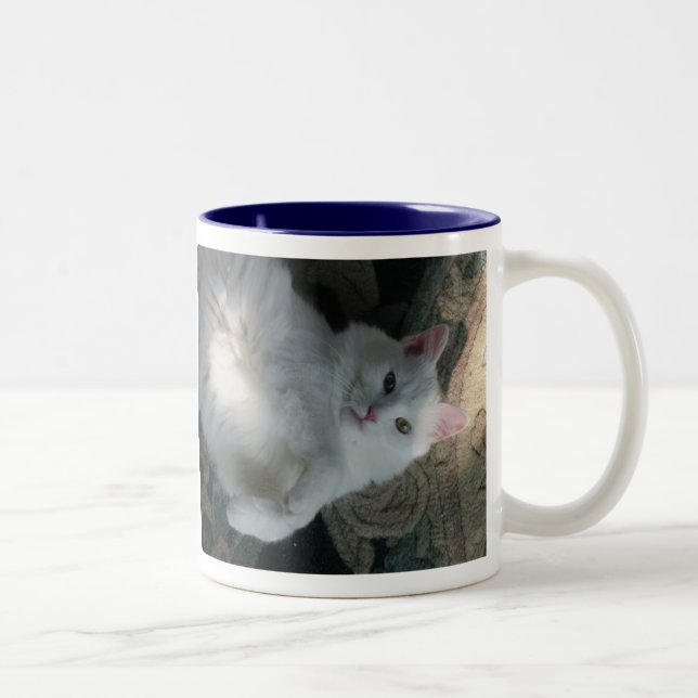 Weiße Katzen-Tasse, Kitty-Überraschung Zweifarbige Tasse (Rechts)