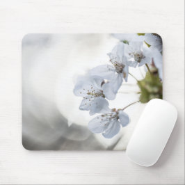 Weiße Kirschblüte Foto Mousepad