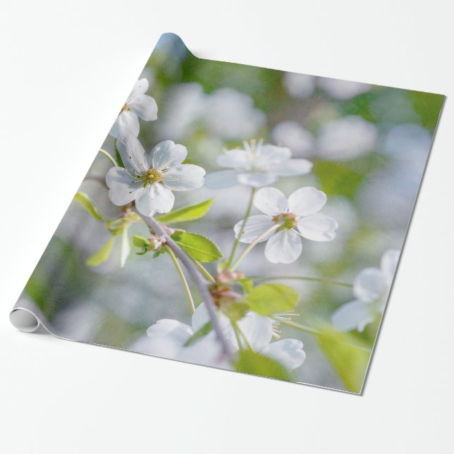 Weiße Kirschblüte Geschenkpapier (Ungerollt)