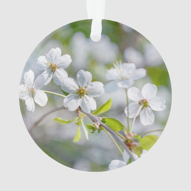 Weiße Kirschblüte Ornament (Rückseite)