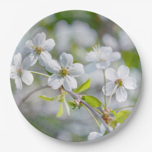Weiße Kirschblüte Pappteller