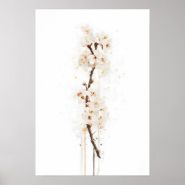Weiße Kirschblüte Poster