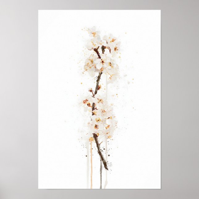 Weiße Kirschblüte Poster (Vorne)