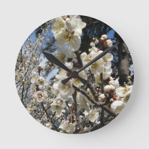 Weiße Kirschblüte / Sakura / サクラ（桜） Runde Wanduhr