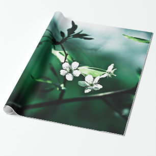 Weiße Kirschblüten Geschenkpapier
