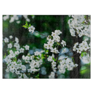 Weiße Kirschblüten Grüne Blätter Schneidebrett