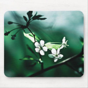 Weiße Kirschblüten Mousepad