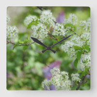 Weiße Kirschblüten und Lila Lilac
