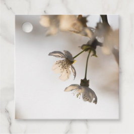 Weiße Kirsche Natur Foto Geschenkanhänger