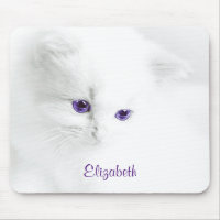 Weiße Kitte mit Lila Augen Personalisiert