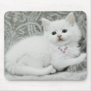 Weiße Kitte Mousepad
