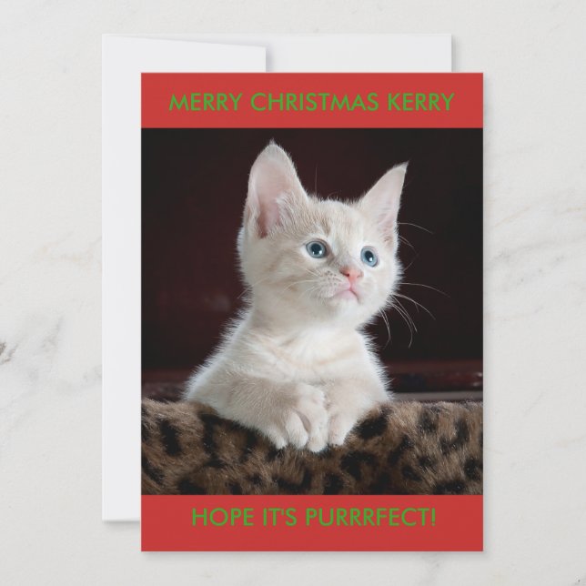 WEISSE KITTEN PERSONALISIERT FEIERTAGSKARTE (Vorderseite)