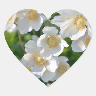 Weiße kleine Blume auf Heftpflaster Herz-Aufkleber