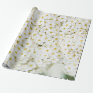 Weiße kleine Blume Geschenkpapier