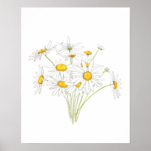 weiße kleine Gänseblümchen Bouquet-Blume Aquarell  Poster