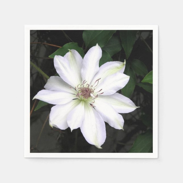 Weiße Klematisblüte Serviette (Vorderseite)