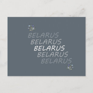 Weisse Kornblume National Belarus Postkarte