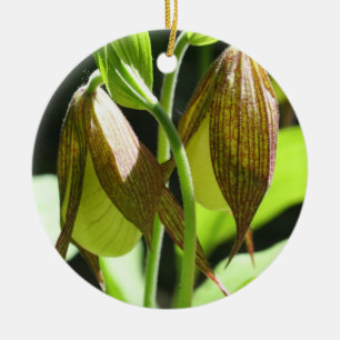 Weiße Lady Slipper Pair Blume Ornament