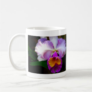 Weiße/lila/Gelb Cattleya Orchidee - Tasse