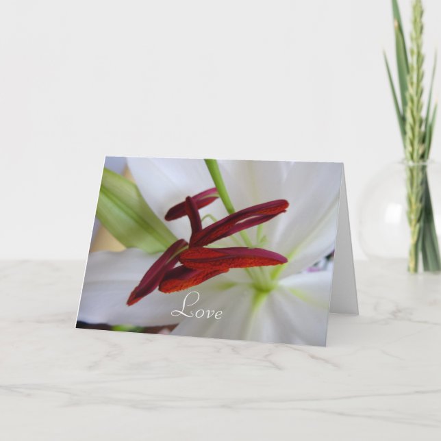 Weiße Lilie, Blume. Karte (Vorderseite)