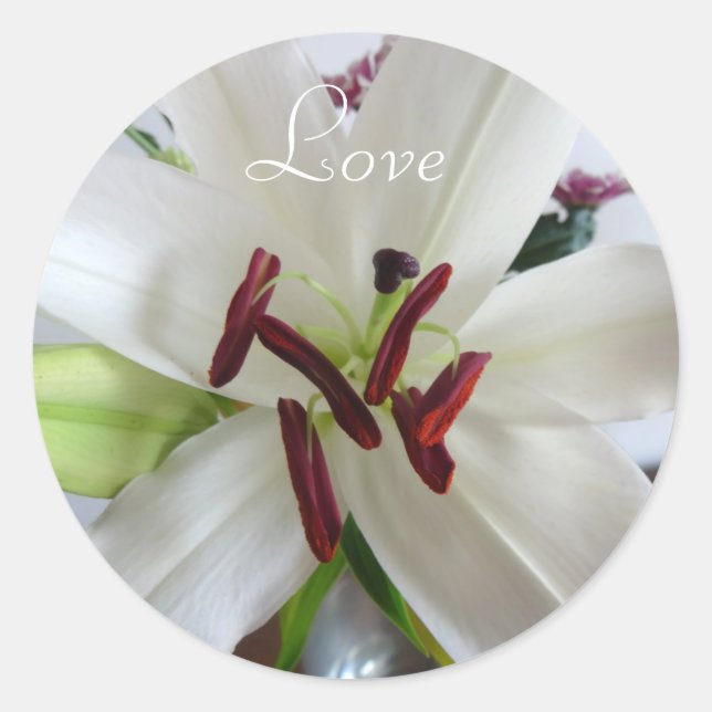 Weiße Lilie, Blume. Runder Aufkleber (Vorderseite)