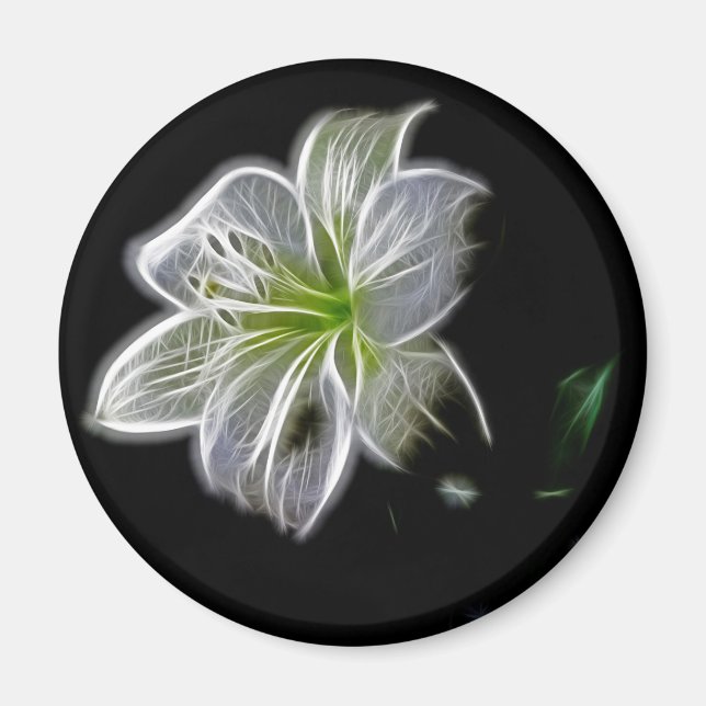 Weiße Lilie Blume Schönheit Magnet (Vorne)