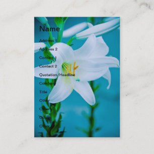Weiße Lilie Visitenkarte